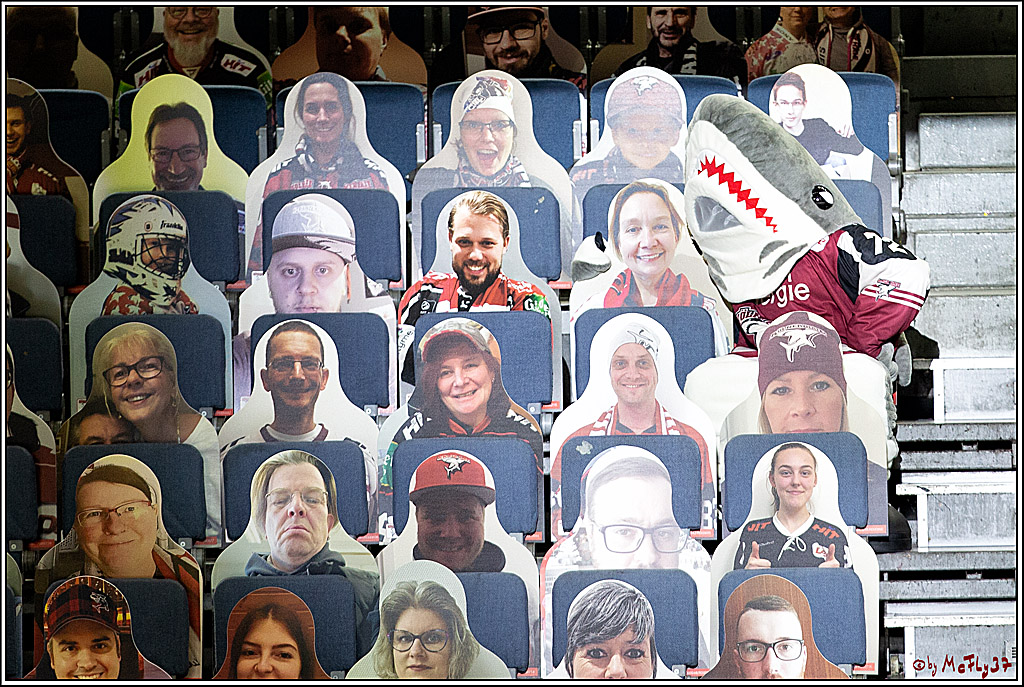 PENNY DEL;  Koelner Haie - Fischtown Pinguins Bremerhaven; Koeln, 12.02.2021